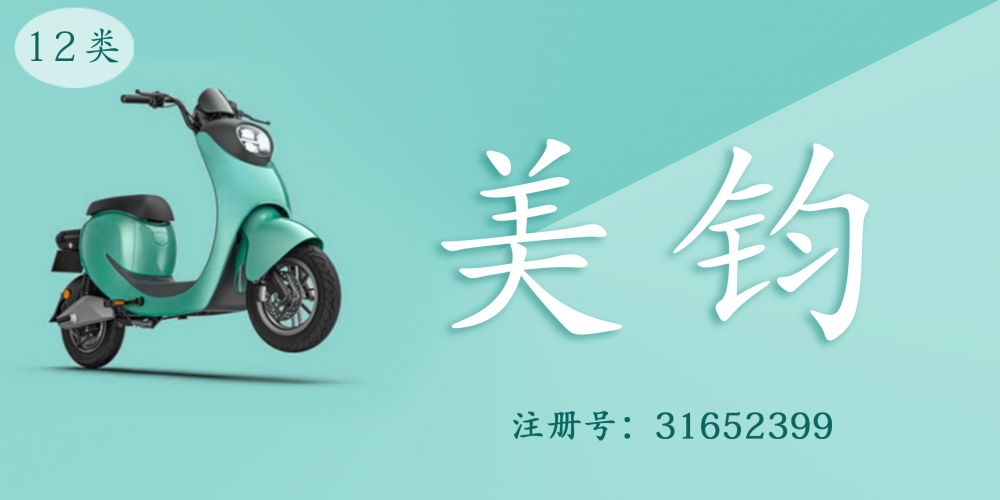 12類運(yùn)輸工具